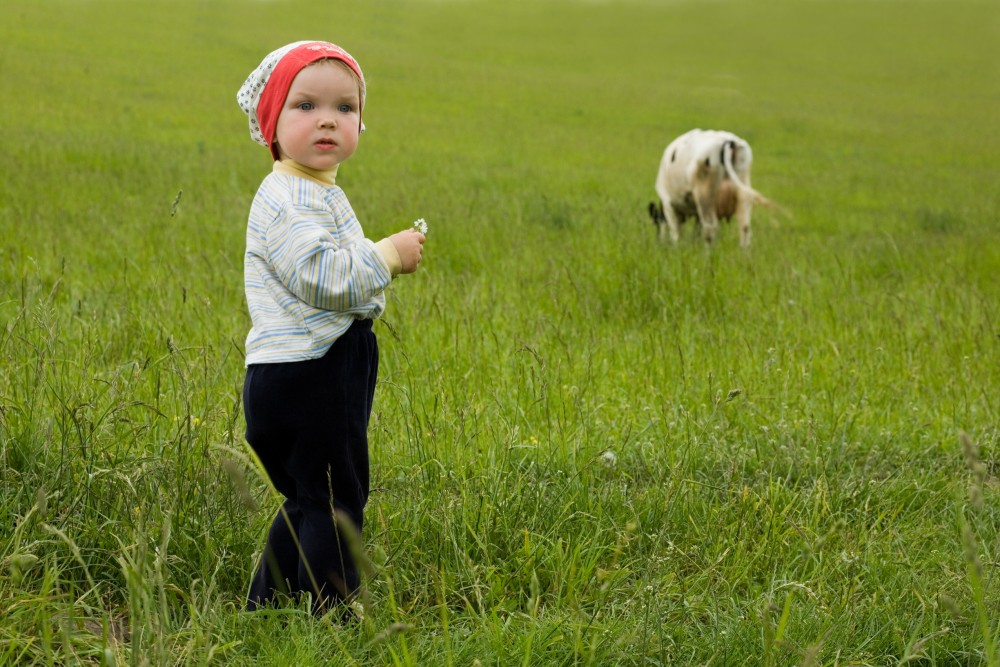 Hill Chiropractic_Mothers Milk Blog_Baby Cow