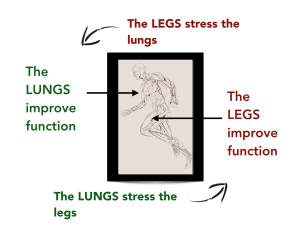 Cycle of Stress Exercise