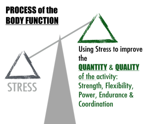 Stress Quality of Life Graphic