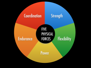Five Physical Forces Graphic